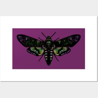 Death Head Moth Posters and Art